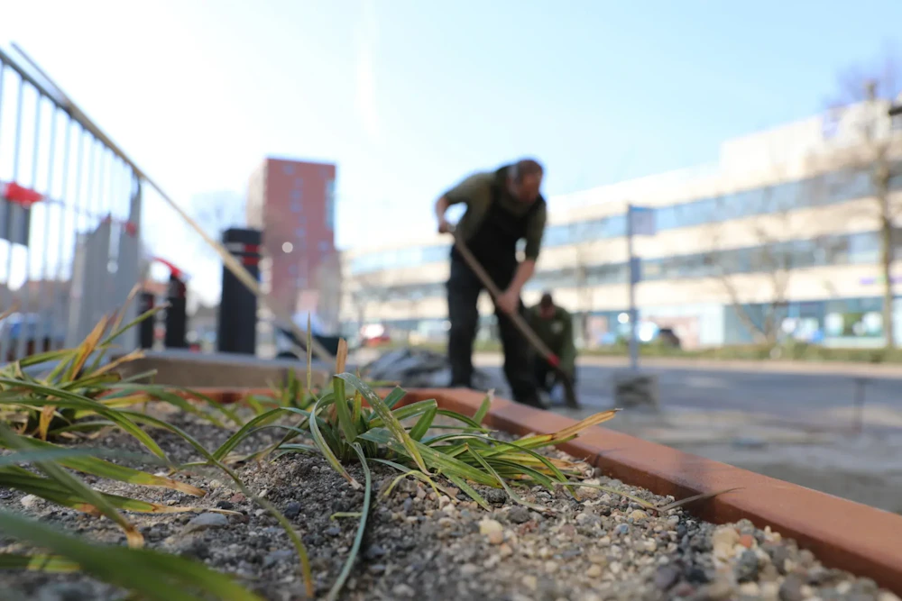 Voorgrond: grassprietjes in een grindvak met een rode rand. Achter: een persoon die veegt met een lange steel in een stedelijke omgeving met gebouwen.